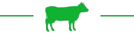 Separator Cow Icon